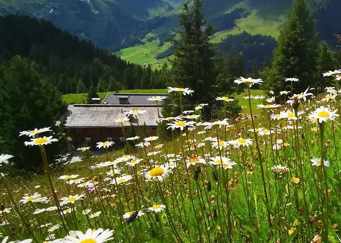 Berghaeusl * Тукс